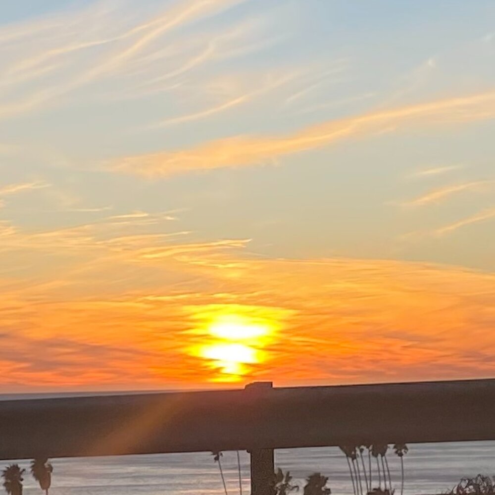 Meet your Posher, Ali